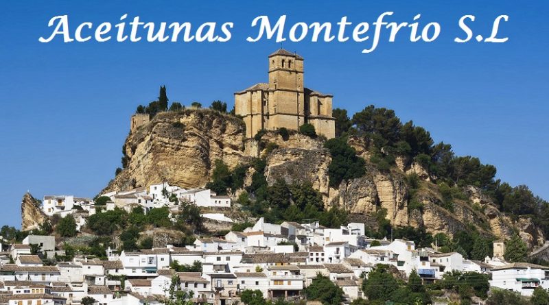 Aceitunas y encurtidos Montefrio - Granadasabor sabores de Granada