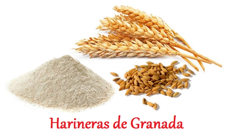 Trigo harina de Granada Sabor productos de Granada Sabores