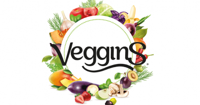 Veggins -Preparados vegetales para vegetarianos y veganos - Granada Sabor productos de Granada